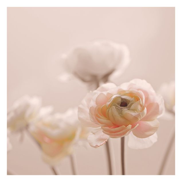 Fototapeten Rosa Zarter Strauch an Rosa Blüten