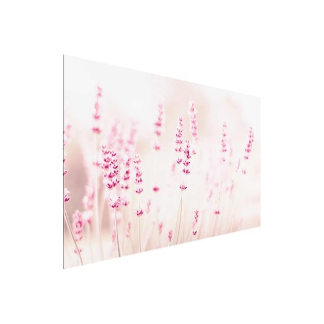 Wandbilder Blumen Zartrosaner Lavendel
