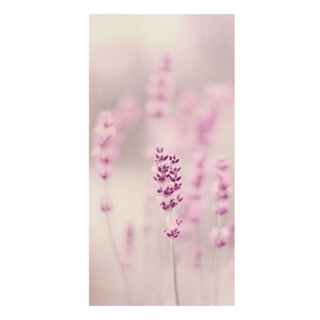 Wandbilder Blumen Zartvioletter Lavendel