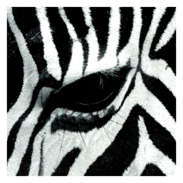 Fototapete Tiere Zebra Crossing No.4