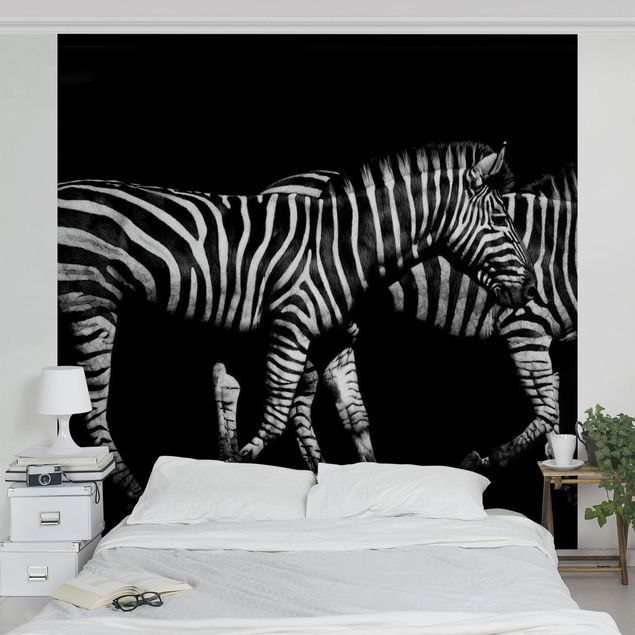 Fototapete Schwarz-Weiß Zebra vor Schwarz