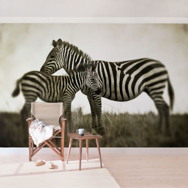 Schwarz-Weiß Tapete Zebrapaar