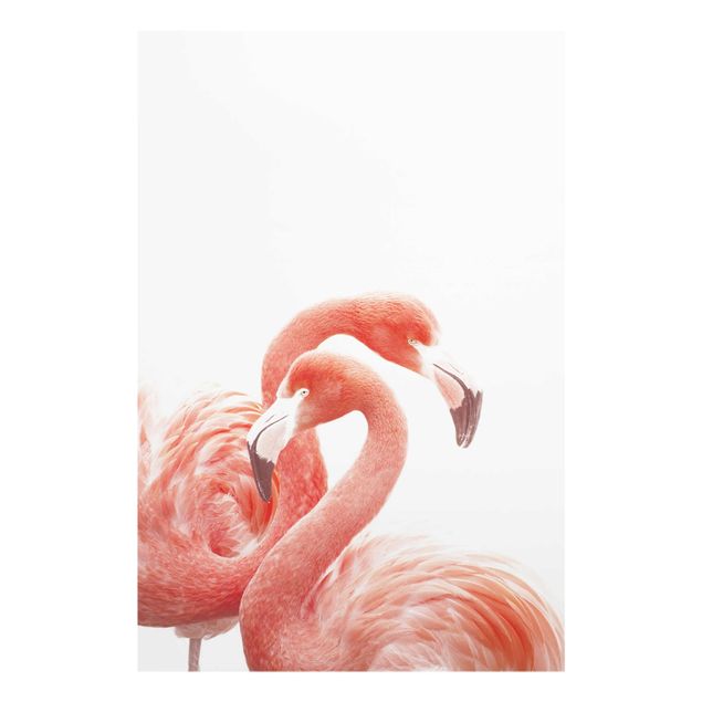 Wandbilder Modern Zwei Flamingos