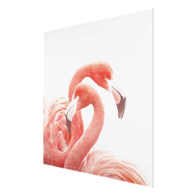 Monika Strigel Bilder Zwei Flamingos