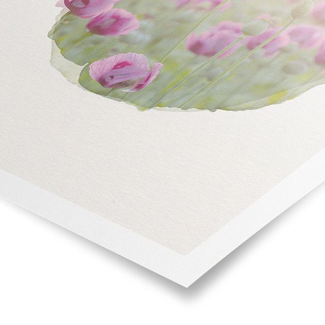 Wandbilder Blumen Wasserfarben - Violette Schlafmohn Blumenwiese im Frühling