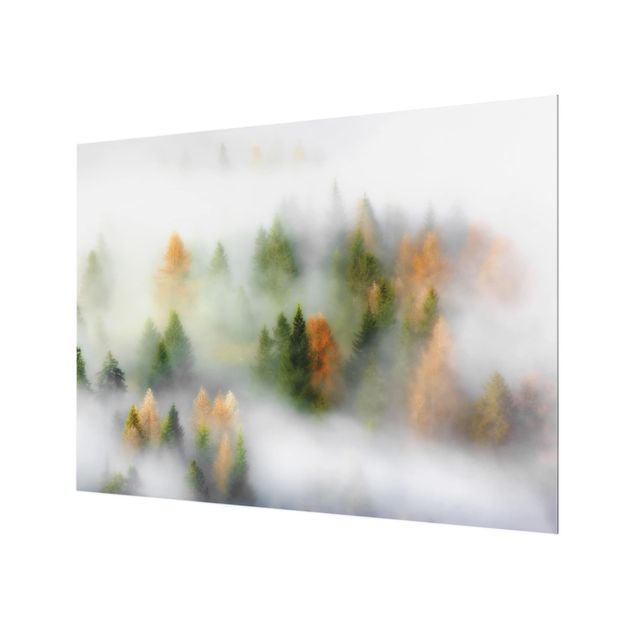Glas Spritzschutz - Nebelwald im Herbst - Querformat - 4:3