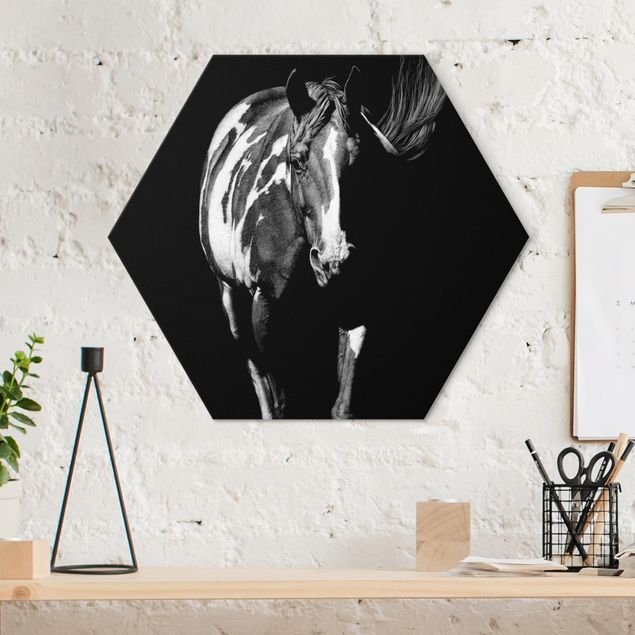 Wandbilder Pferde Pferd vor Schwarz