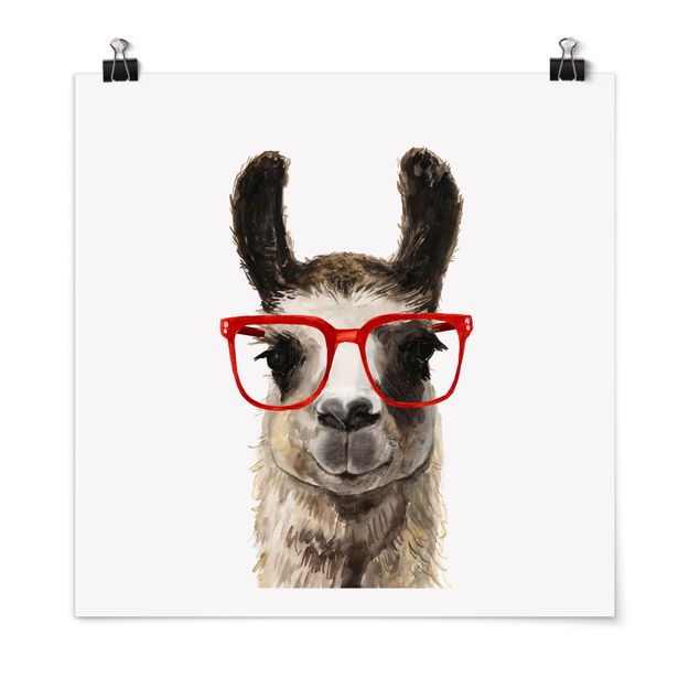 Tiere Poster Hippes Lama mit Brille II