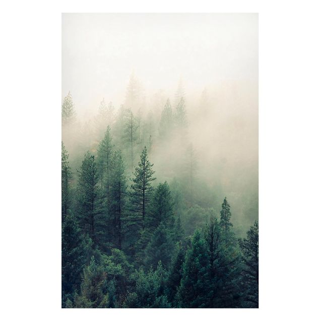 Wandbilder Bäume Wald im Nebel Erwachen