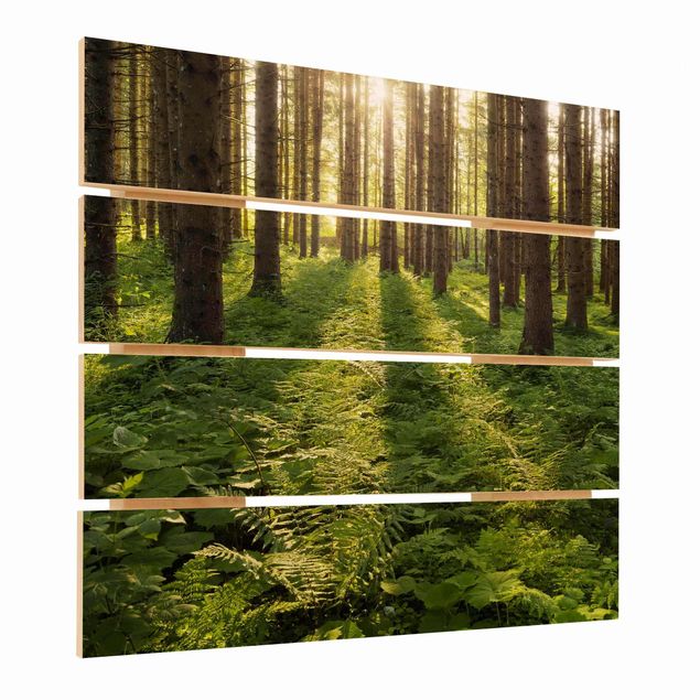 Bilder auf Holz Sonnenstrahlen in grünem Wald