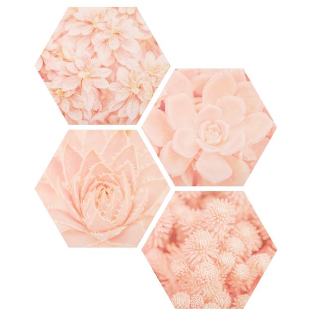 Wandbilder Modern Rosa Blütenzauber