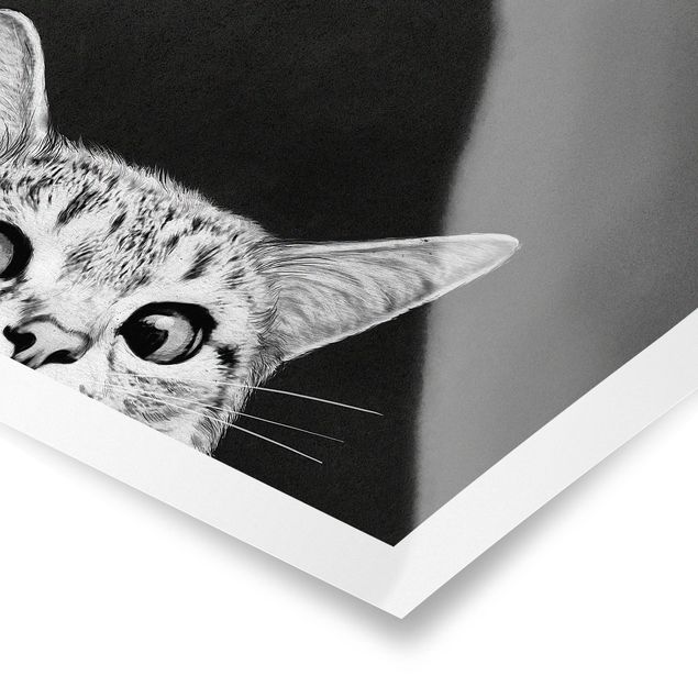 Poster Tiere Illustration Katze Schwarz Weiß Zeichnung