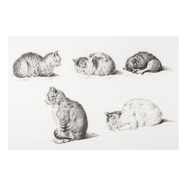 Wandbilder Katzen Vintage Zeichnung Katze I