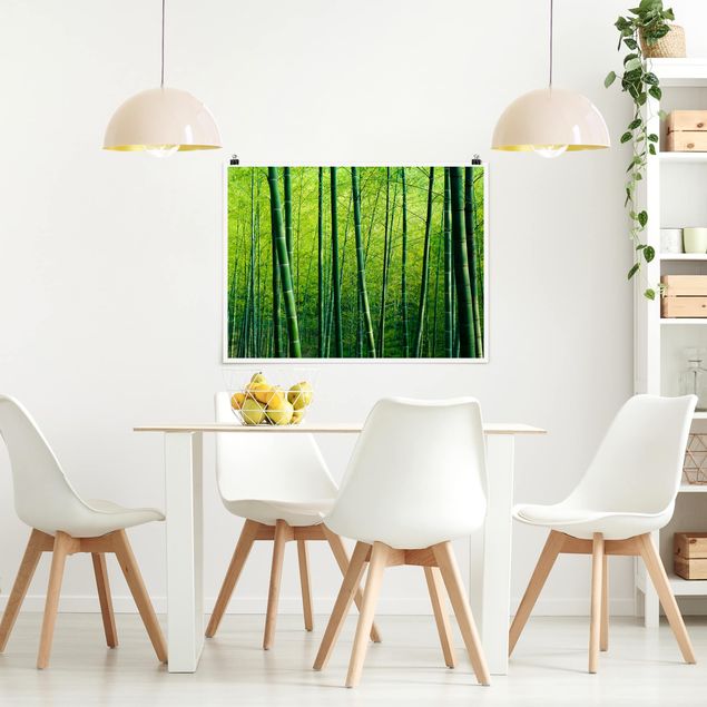 Wandbilder Bambus Bambuswald
