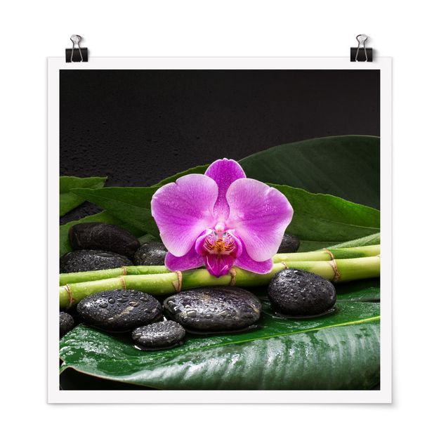 Kunstdrucke Poster Grüner Bambus mit Orchideenblüte