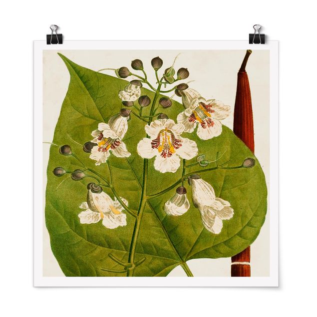 Wandbilder Floral Tableau Blatt Blüte Frucht V