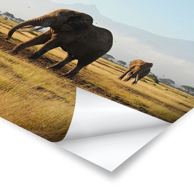 Poster Naturbilder Elefanten vor dem Kilimanjaro in Kenya
