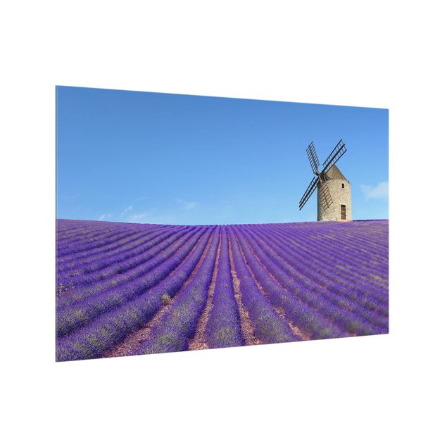 Spritzschutz Glas - Lavendelduft in der Provence - Querformat - 3:2