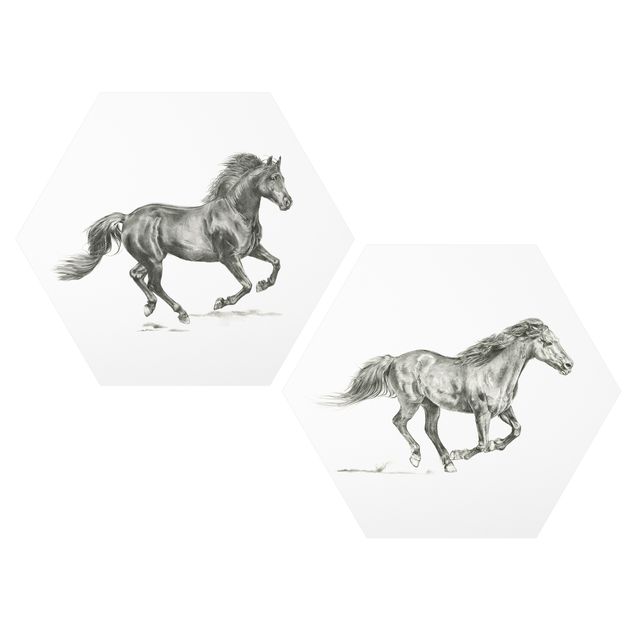 Wandbilder Modern Wildpferd-Studie Set I