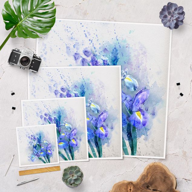 Poster bestellen Aquarell Blumen Iris