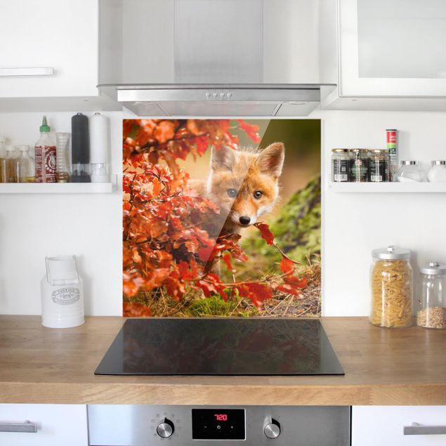 Spritzschutz Küche Glas Fuchs im Herbst