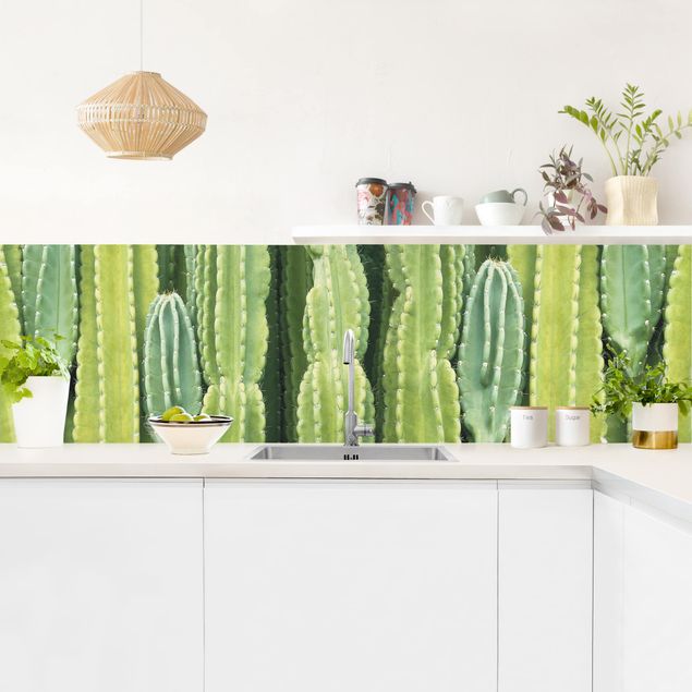 Küchenrückwände Blumen Kaktus Wand