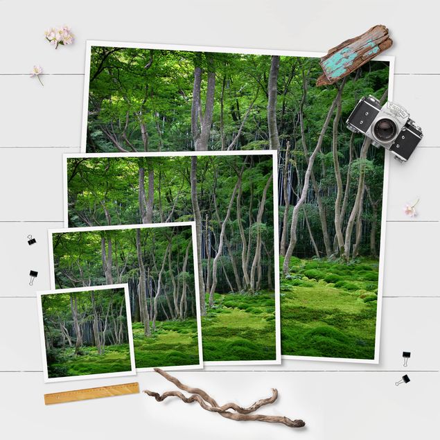 Wandbilder Grün Japanischer Wald