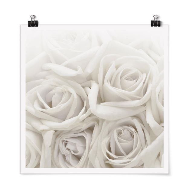 Wandbilder Floral Weiße Rosen