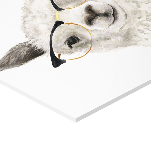Bilder Hippe Lamas mit Brille Set I