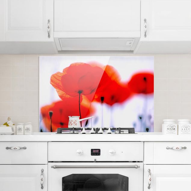 Glasrückwand Küche Blumen Magic Poppies