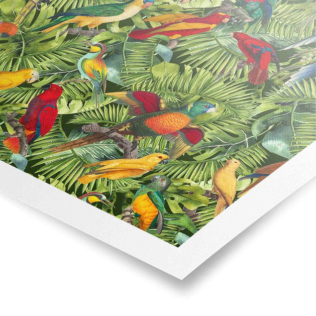 Poster Kunstdruck Bunte Collage - Papageien im Dschungel