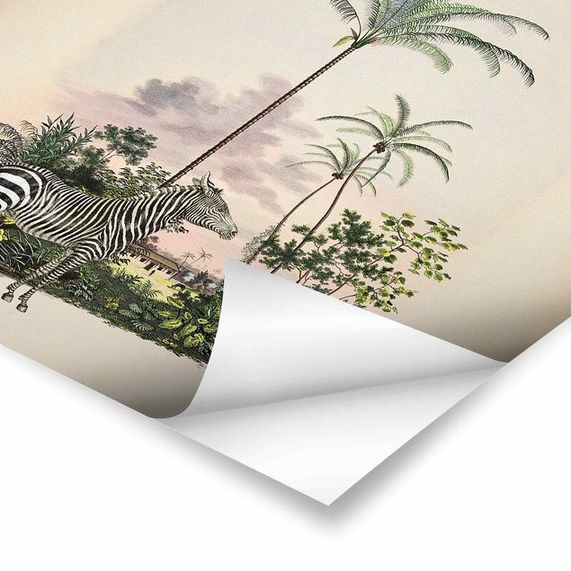 Bilder Andrea Haase Zebra vor Palmen Illustration