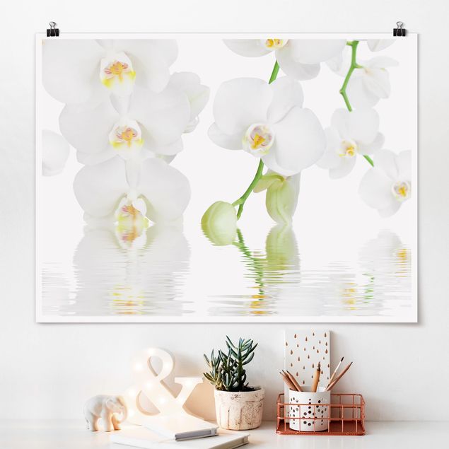 Wandbilder Orchideen Wellness Orchidee - Weiße Orchidee
