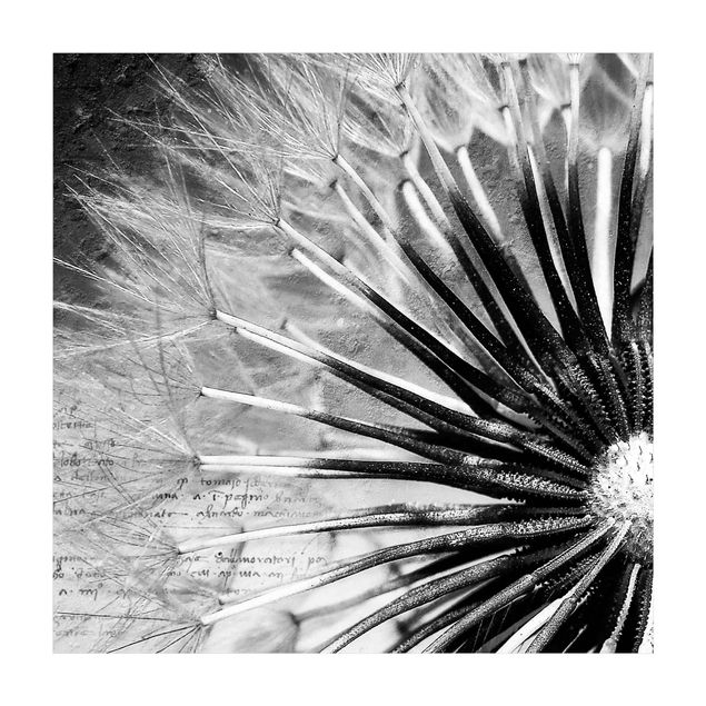 Moderner Teppich Pusteblume Schwarz & Weiß
