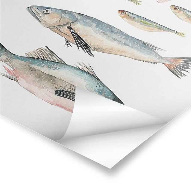 Poster Sieben Fische in Aquarell II