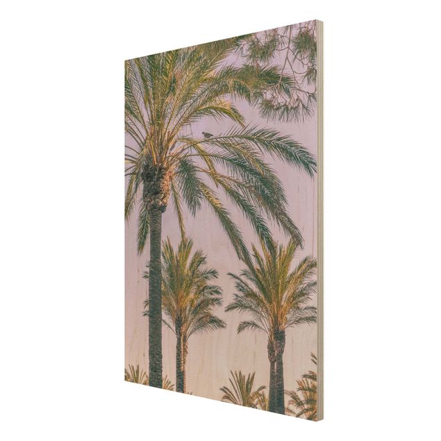 Holzbilder Landschaften Palmen im Sonnenuntergang
