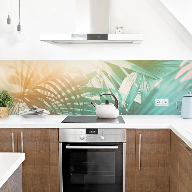 Glasrückwand Küche Tropische Pflanzen Palmen bei Sonnenuntergang