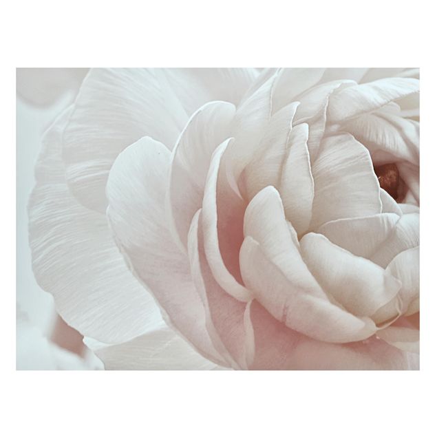 Magnettafel - Weiße Blüte im Blütenmeer - Querfromat 4:3