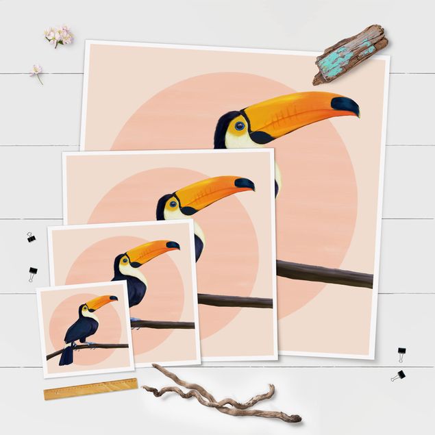 Poster kaufen Illustration Vogel Tukan Malerei Pastell