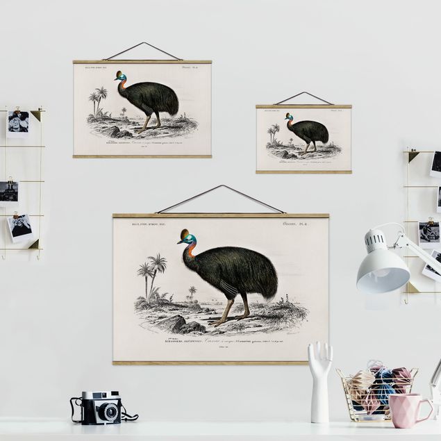 Wandbilder Grau Vintage Lehrtafel Emu