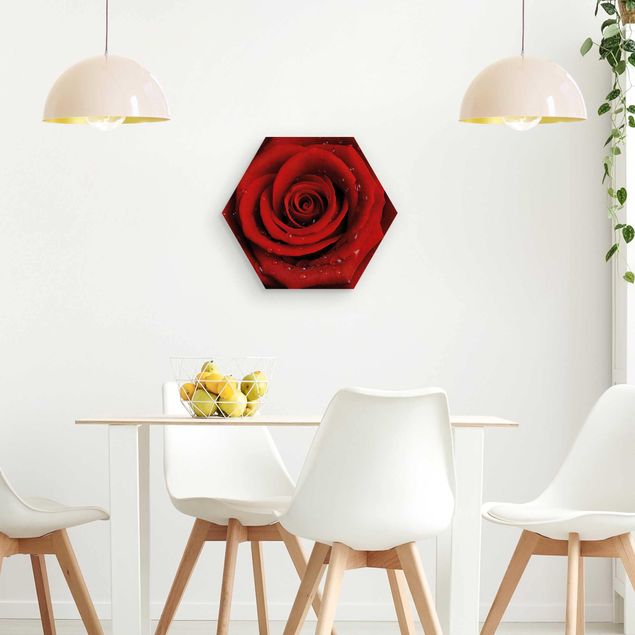 Wandbilder Rote Rose mit Wassertropfen