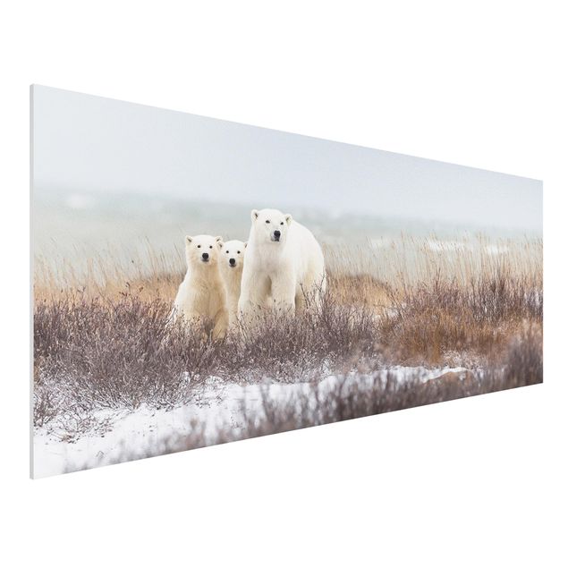 Wandbilder Bären Eisbärin und ihre Jungen