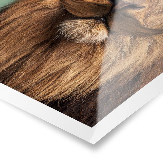 Wandbilder Kunstdrucke Löwe mit Bart