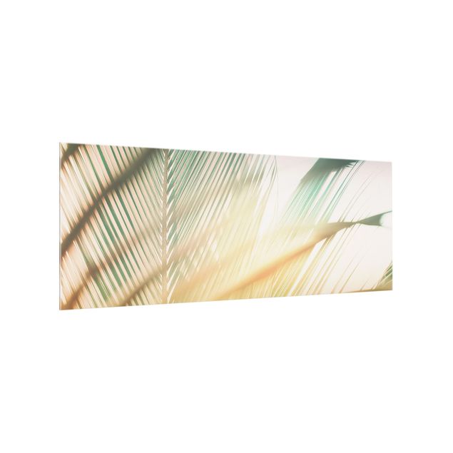 Küchenspiegel Glas Tropische Pflanzen Palmen bei Sonnenuntergang II