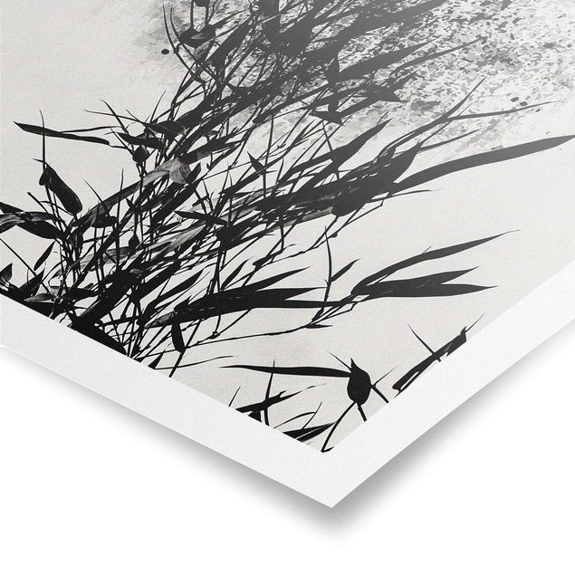 Poster schwarz-weiß Fotografie Grafische Pflanzenwelt - Schwarzer Bambus