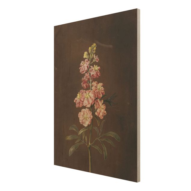 Holzbilder Blumen Barbara Regina Dietzsch - Eine rosa Garten-Levkkoje