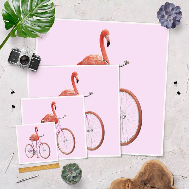Poster Flamingo mit Fahrrad