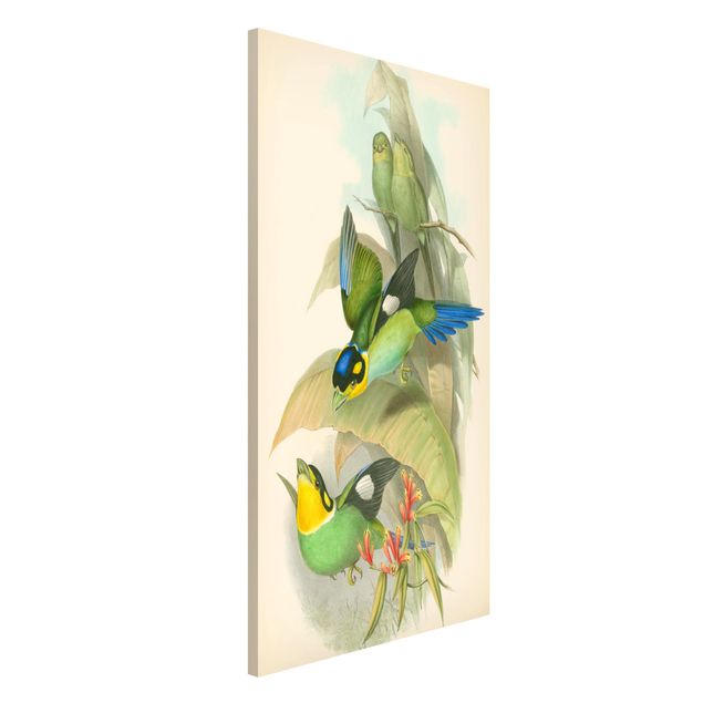 Wanddeko Küche Vintage Illustration Tropische Vögel
