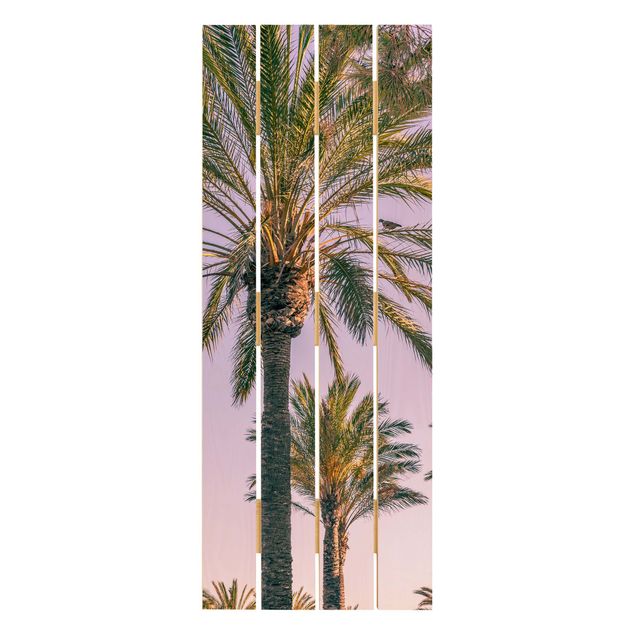 Uta Naumann Bilder Palmen im Sonnenuntergang