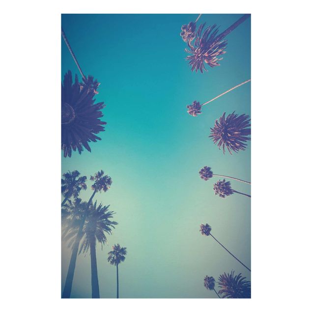 Wandbilder Floral Tropische Pflanzen Palmen und Himmel II